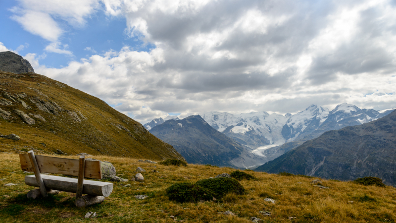 Languard - mit Blick auf den Morteratschgletscher