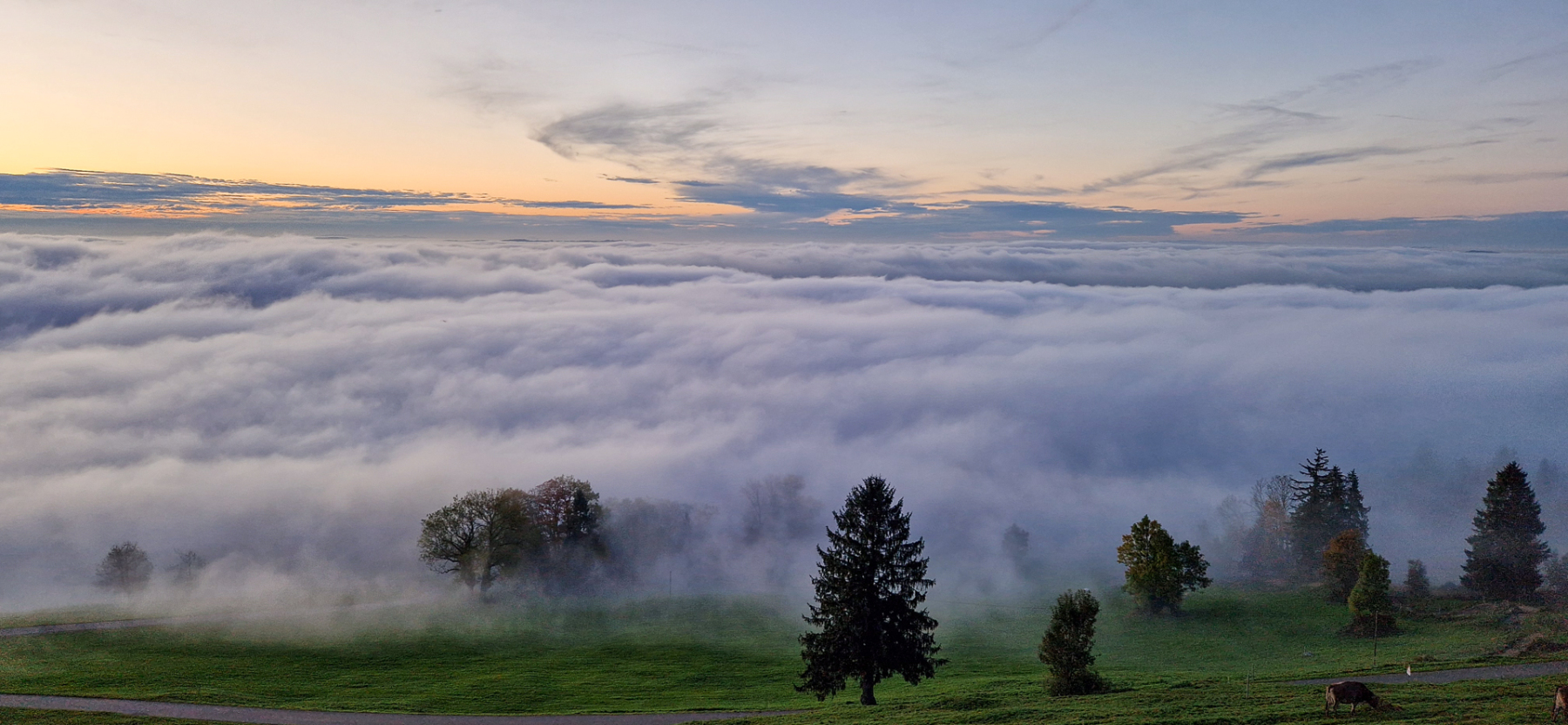 Der Nebel lichtet sich